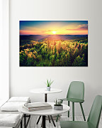 Obraz Nespútaná divočina 1925